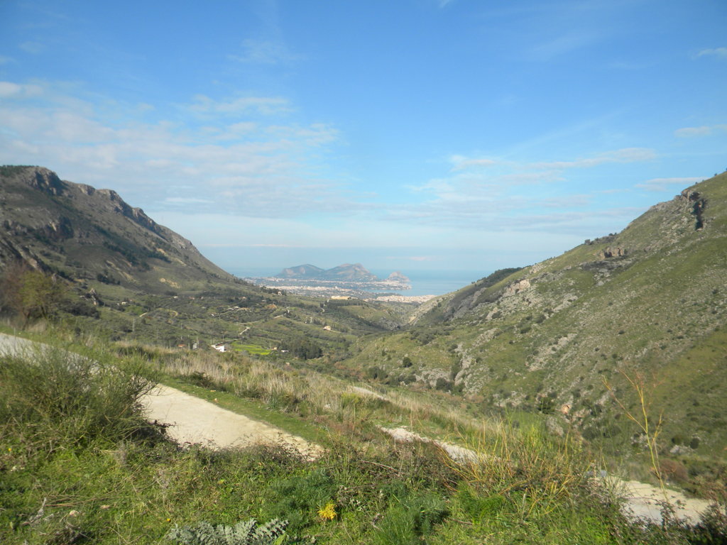 1535 .JPG